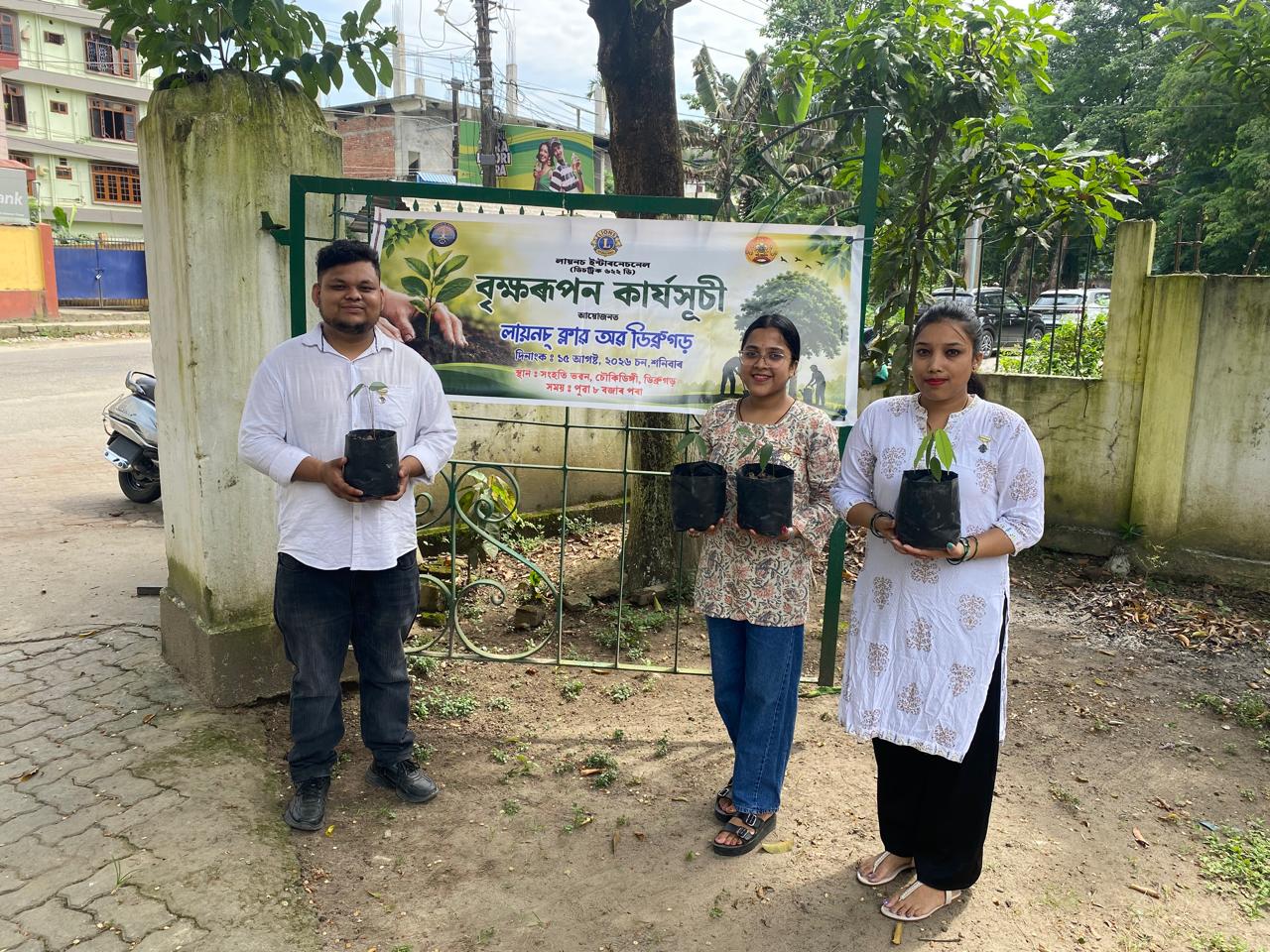 Tree Plantation: photo 1