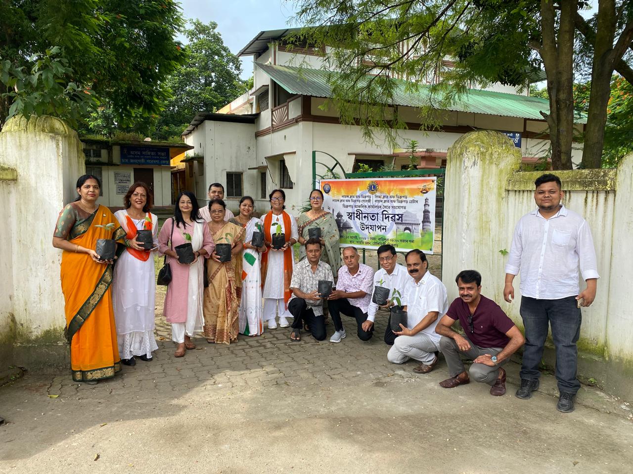 Tree Plantation: photo 2
