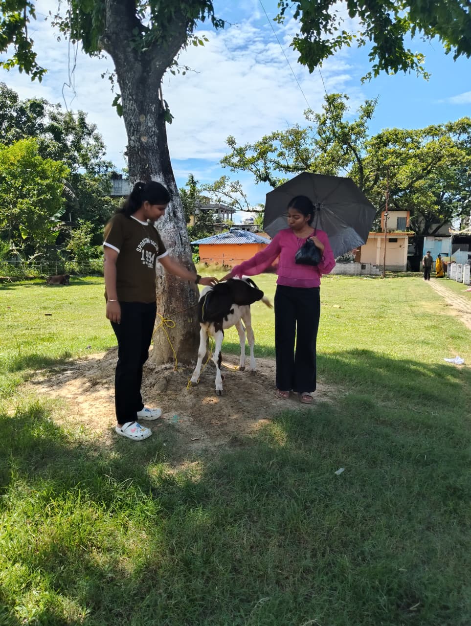 GAU SEVA: photo 1