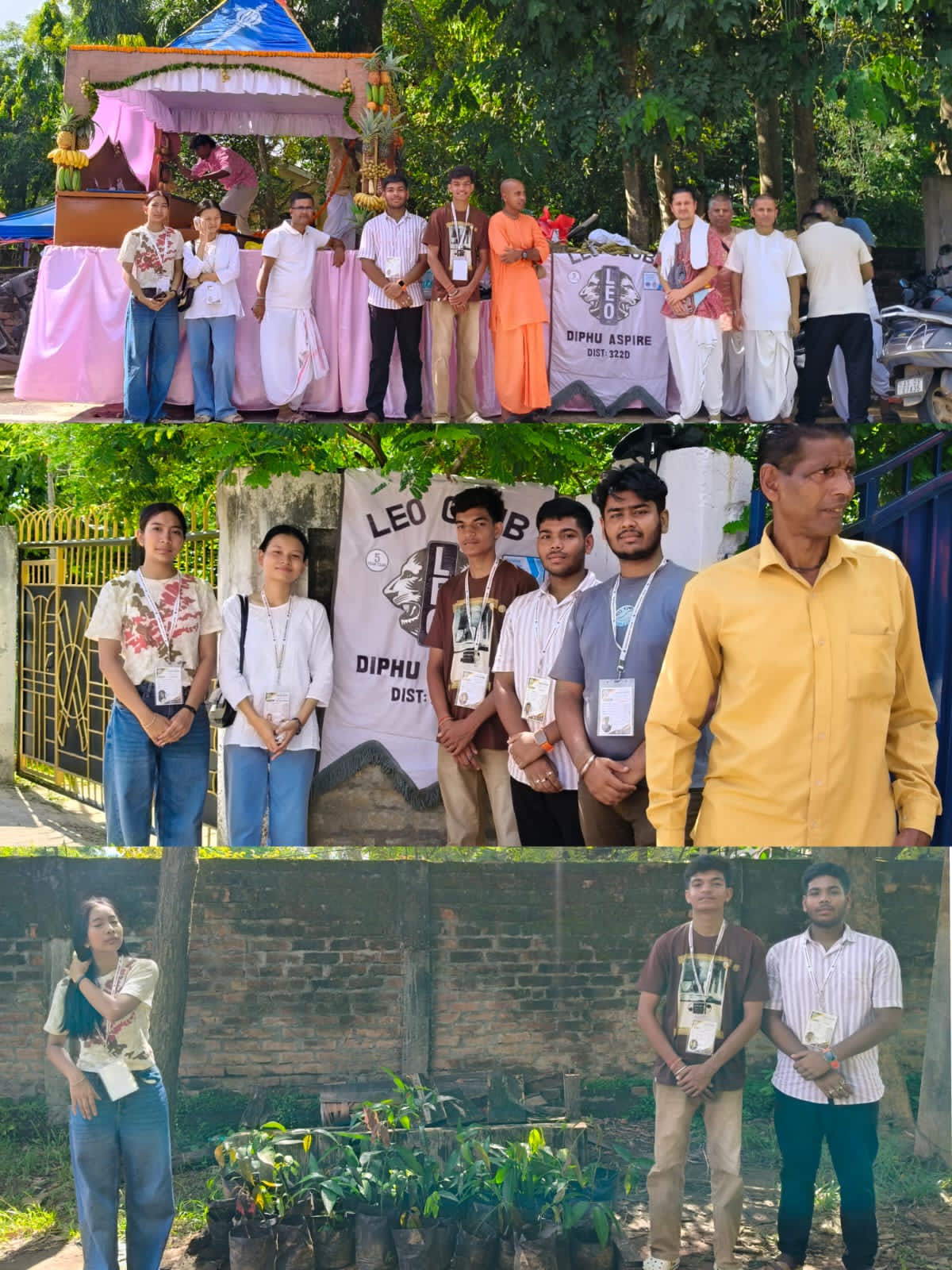 PLANT SAPLINGS DISTRIBUTION